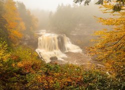 Jesień, Rzeka, Wodospad, Mgła, Drzewa, Skały, Roslinność