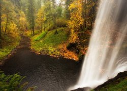 Wodospad wpadający do rzeki w jesiennym lesie