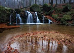Wodospad wpadający do rzeki w lesie jesienią