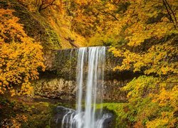 Wodospad wśród jesiennej roślinności w Parku Stanowym Silver Falls