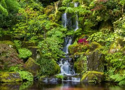 Wodospad wśród roślin na skałach w Portland Japanese Garden