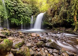 Wodospad Yeh Ho Waterfall, Wyspa Bali, Indonezja, Las, Kamienie, Rzeka, Roslinność