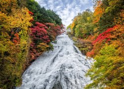 Japonia, Prefektura Tochigi, Park Narodowy Nikko, Wodospad Yudaki, Jesień, Drzewa