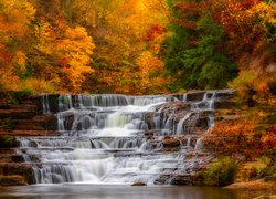 Jesień, Kolorowe, Drzewa, Wodospad, Las