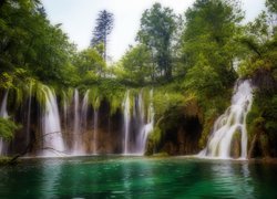 Wodospady i drzewa w Parku Narodowym Jezior Plitwickich