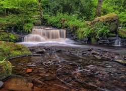 Anglia, Hrabstwo South Yorkshire, Sheffield, Park Narodowy Peak District, Kaskada, Rzeka Rivelin, Kamienie, Drzewa Park Narodowy Peak District