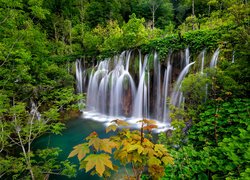 Wodospady pośród drzew w Parku Narodowym Jezior Plitwickich w Chorwacji