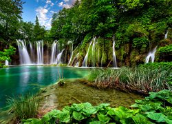 Wodospady pośród zielonych drzew w Parku Narodowym Jezior Plitwickich w Chorwacji