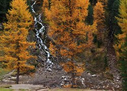 Jesień, Las, Drzewa, Wodospady, Kamienie