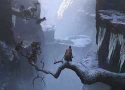 Gra, Sekiro Shadows Die Twice, Góry, Konar, Wojownik, Sekiro