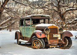 Wrak starego samochodu stoi w śniegu pod drzewami