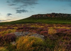 Anglia, Park Narodowy Peak District, Wzgórza, Wrzosowisko, Wrzosy, Kamienie