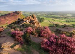 Wrzosy i skały w Parku Narodowym Peak District