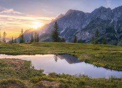 Góry, Alpy, Kałuża, Drzewa, Wschód słońca, Austria