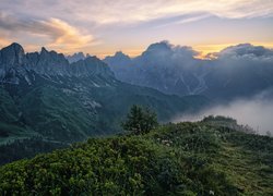 Wschód słońca, Góry, Dolomity, Mgła, Krzewy, Iglaki, Włochy