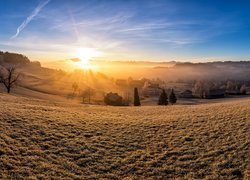 Gmina, Kirchberg in Tirol, Wzgórza, Drzewa, Domy, Wschód słońca, Mgła, Kanton St. Gallen, Szwajcaria