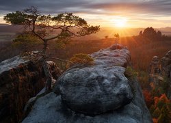 Niemcy, Park Narodowy Saskiej Szwajcarii, Góry Połabskie, Skały, Drzewa, Sosna, Jesień, Chmury, Wschód słońca