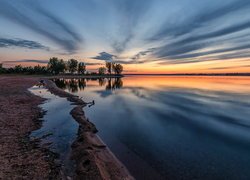 Jezioro, Chatfield Lake, Brzeg, Drzewa, Wschód słońca, Kolorado, Stany Zjednoczone