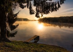 Jezioro Riedsee, Hufingen, Badenia-Wirtembergia, Niemcy, Wschód słońca, Pomost, Drzewa