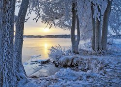 Finlandia, Region Etelä-Savo, Miasto Savonlinna, Jezioro, Zima, Ośnieżone, Drzewa, Wschód słońca