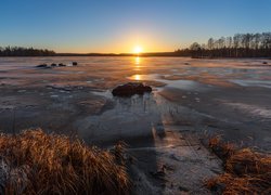 Wschód słońca, Jezioro, Lód, Drzewa, Trawa, Kamienie, Valkeakoski, Finlandia