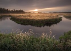 Polska, Nizina Podlaska, Podlasie, Rzeka, Trawy, Łąka, Wschód słońca, Mgła