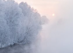 Zima, Rzeka, Drzewa, Szron, Wschód słońca, Mgła