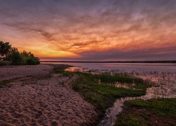 Wschód słońca, Rzeka, Deer Creek, Park stanowy, Chatfield State Park, Drzewa, Trawa, Piasek, Kolorado, Stany Zjednoczone