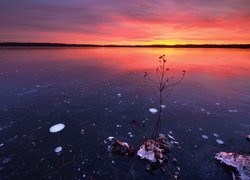 Wschód słońca, Jezioro, Lód, Drzewko, Zima