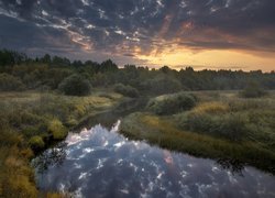 Wschód słońca nad rosyjską rzeką Puya i lasem