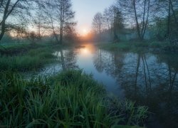 Rzeka Idolga, Drzewa, Trawy, Wschód słońca, Obwód saratowski, Rosja