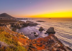 Stany Zjednoczone, Stan Kalifornia, Park stanowy Garrapata, Morze, Wybrzeże, Big Sur, Roślinność, Wschód słońca, Księżyc