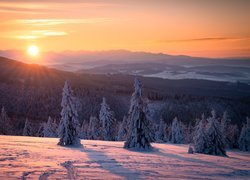 Wschód słońca nad zalesionymi i ośnieżonymi górami