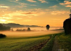 Wschód słońca nad zamglonym polem