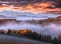 Góry Karpaty, Lasy, Mgła, Chmury, Wschód słońca