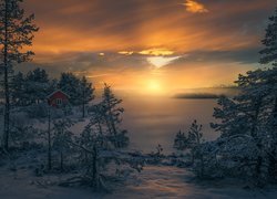 Zima, Drzewa, Dom, Zaśnieżone, Jezioro, Wschód słońca, Mgła, Ringerike, Norwegia