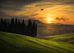 Wschód słońca nad zielonymi wzgórzami Toskanii