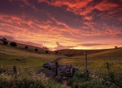 Park Narodowy Peak District, Anglia, Wzgórza, Wschód słońca, Ogrodzenie, Drzewa