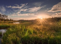 Rzeka, Drzewa, Łąka, Roślinność, Wschód słońca, Promienie, Chmury