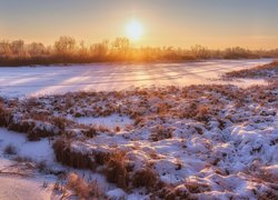 Zima, Wschód słońca, Zaśnieżona, Rzeka, Trawa, Krzewy, Drzewa