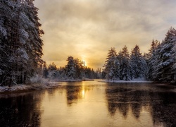 Wschodzące słońce przegląda się w leśnej zimowej rzece