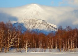 Zima, Śnieg, Drzewa, Wulkan, Awaczyńska Sopka, Kamczatka, Rosja