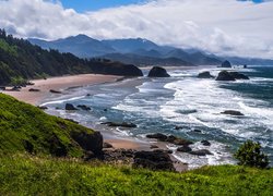 Morze, Drzewa, Góry, Skały, Rośliny, Plaża, Park stanowy Ecola, Cannon Beach, Oregon, Stany Zjednoczone