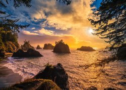 Zachód słońca, Morze, Skały, Drzewa, Wybrzeże Park stanowy, Samuel H Boardman State Scenic Corridor, Oregon, Stany Zjednoczone