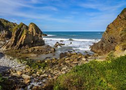 Morze, Skały, Rośliny, Wybrzeże, Azenhas do Mar, Portugalia