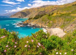 Morze, Góry, Wybrzeże, Plaża, Kwiaty, Chmury, Region Big Sur, Kalifornia, Stany Zjednoczone