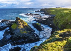 Wybrzeże, Morze, Wyspa Phillip Island, Stan Wiktoria, Australia, Skały, Roślinność