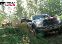 Forza Horizon 3, Samochody, Terenowe, Ford, Las, Droga, Wyścig, Plakat