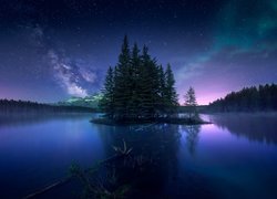 Drzewa, Las, Gwiazdy, Zorza polarna, Noc, Niebo, Jezioro, Two Jack Lake, Park Narodowy Banff, Alberta, Kanada