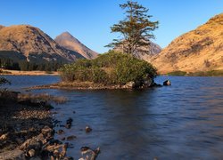 Wysepka na rzece River Etive